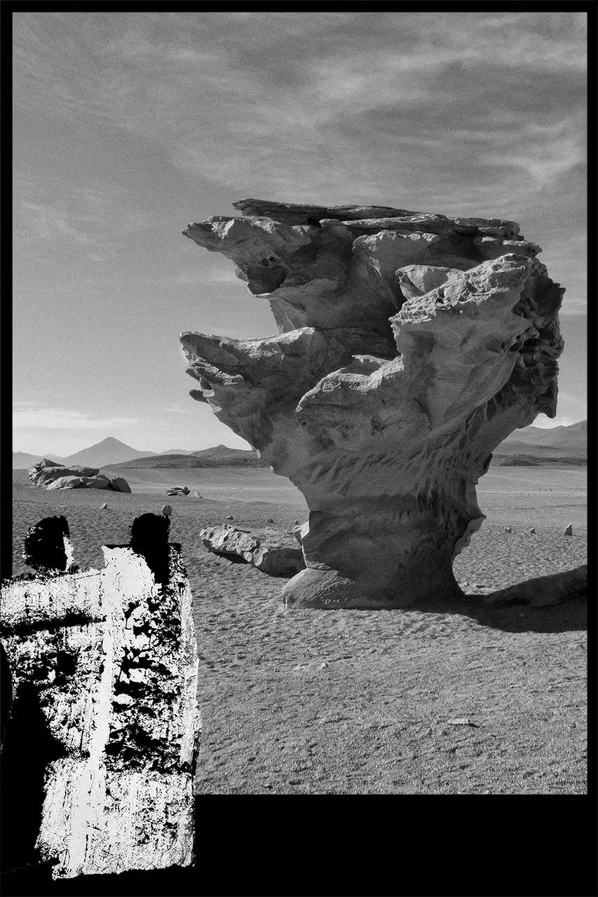 Création Lino-De-La-Barrera-Rose d’Atacama